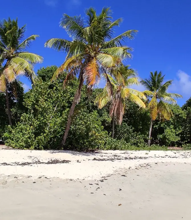 Sainte-Anne