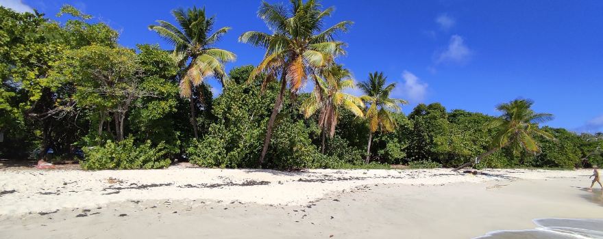 Grande Anse des Salines