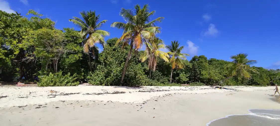 Hotel in zona Grande Anse des Salines