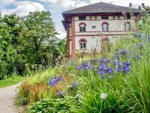 Merian Gardens