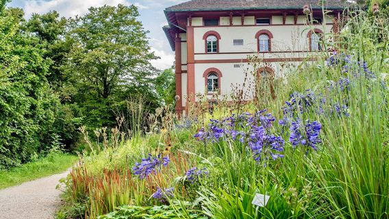 Merian Gardens