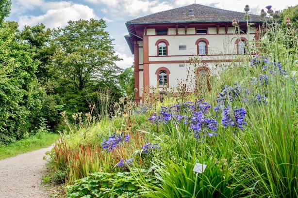 Merian Gardens