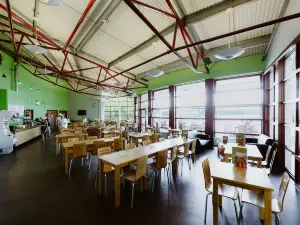 The Natural World Centre