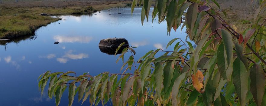 Piscataquis County
