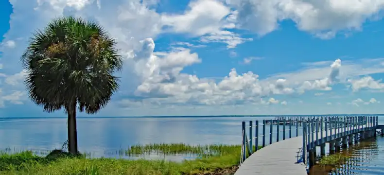 Hotels near Cape San Blas