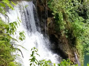 YS Falls