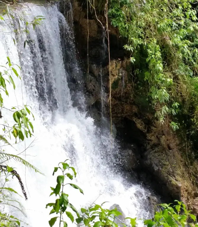 Black River