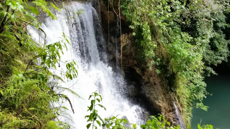 Hoteles cerca de YS Falls