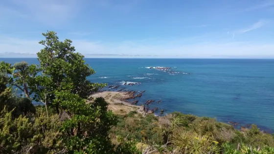 Tarakena Bay