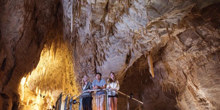 Ruakuri Cave