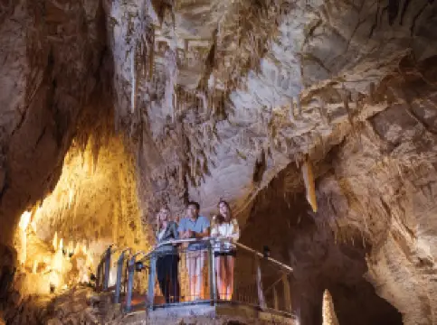 Ruakuri Cave
