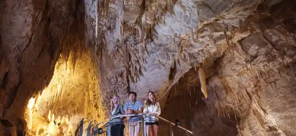 Hotels in Waitomo Caves