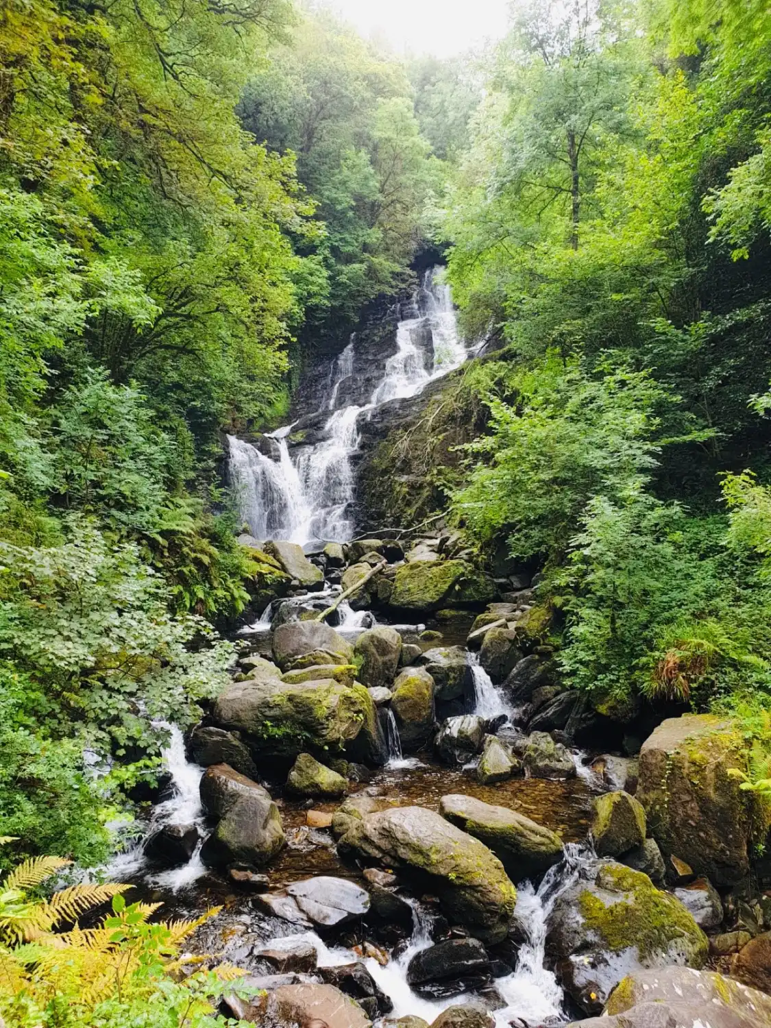 Hotels near Torc Waterfall