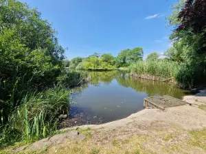 Barrow Park