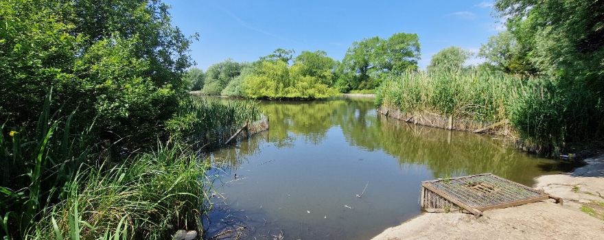 Barrow Park