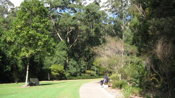 Maroochy Regional Bushland Botanic Garden
