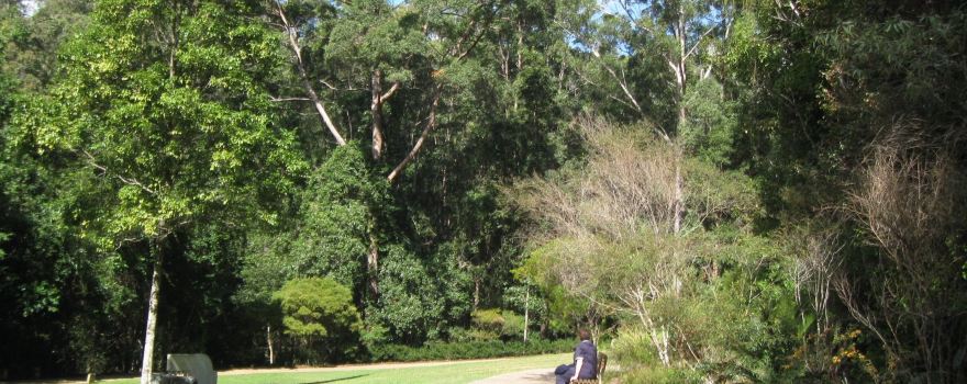 Maroochy Regional Bushland Botanic Garden