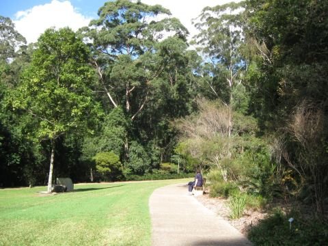 Maroochy Regional Bushland Botanic Garden