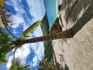 Shell Beach
