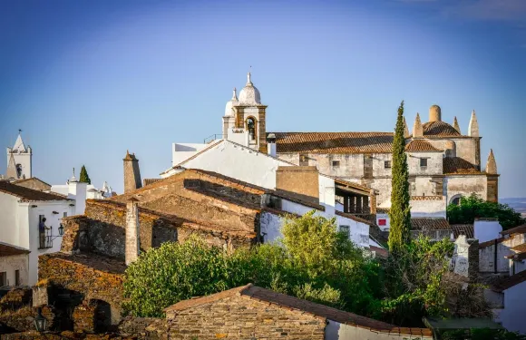 雷根古什迪蒙薩拉什