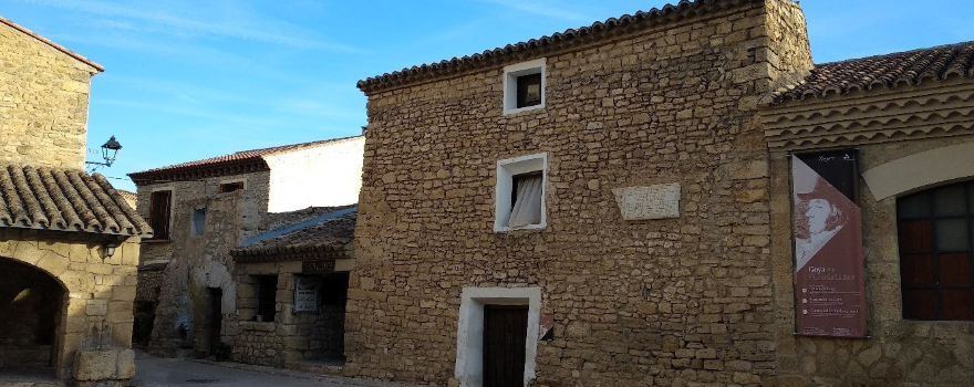 Goya's birth place