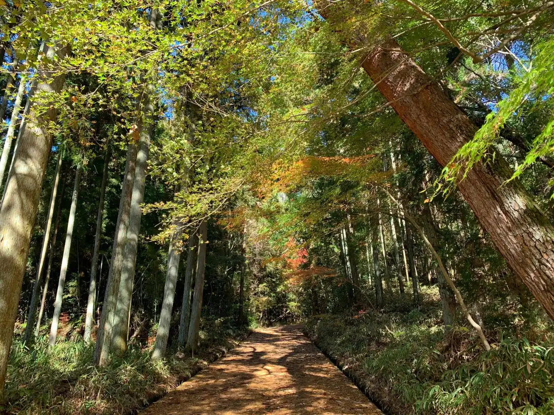 Hotels in der Nähe von Gifu Sogi Koen