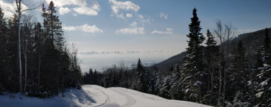 Luge