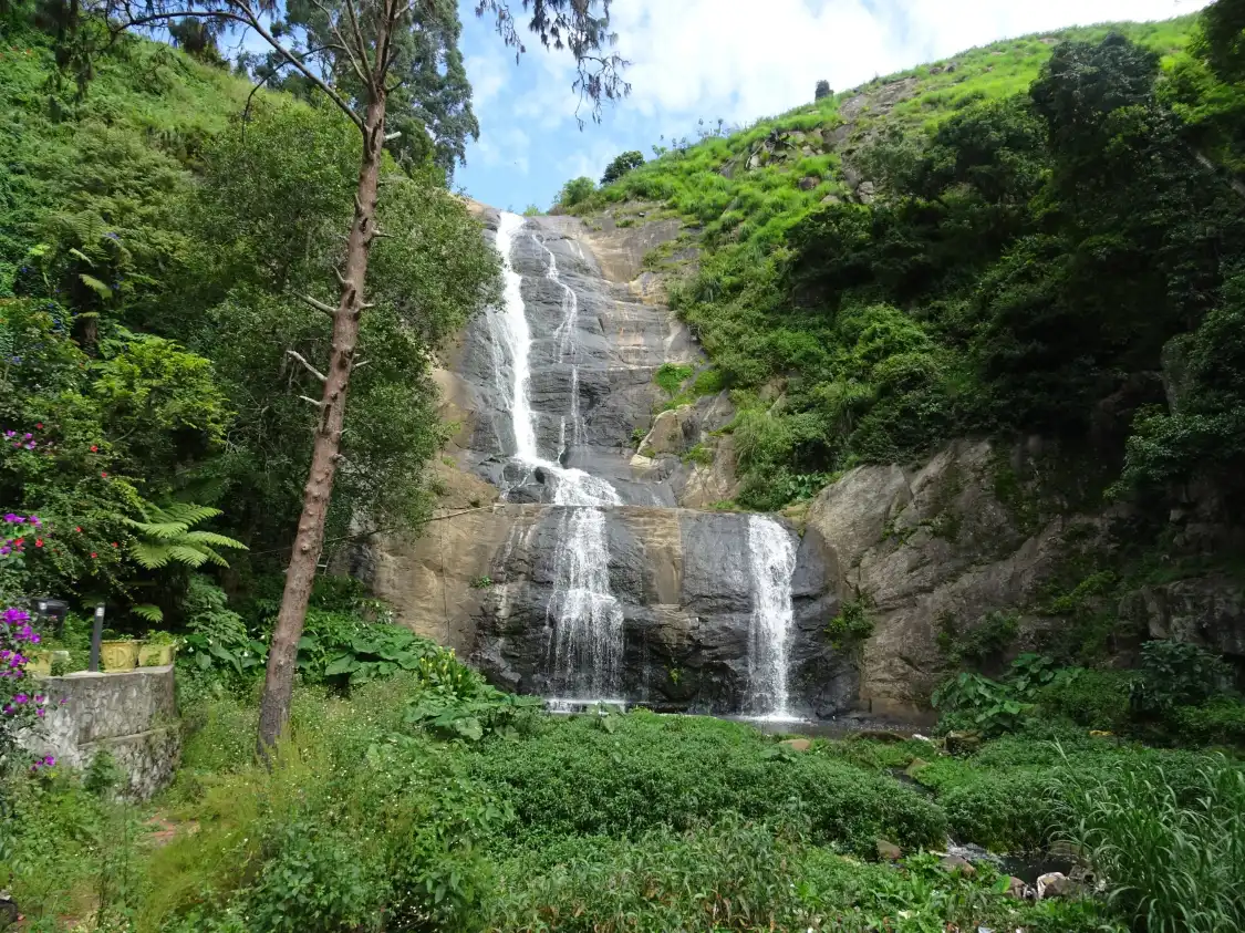 Hotels near Bear Shola Stream