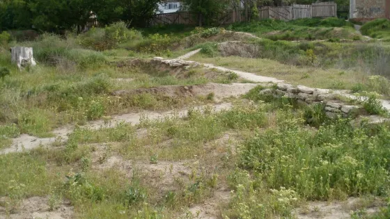 Dikiy Sad Ancient Settlement
