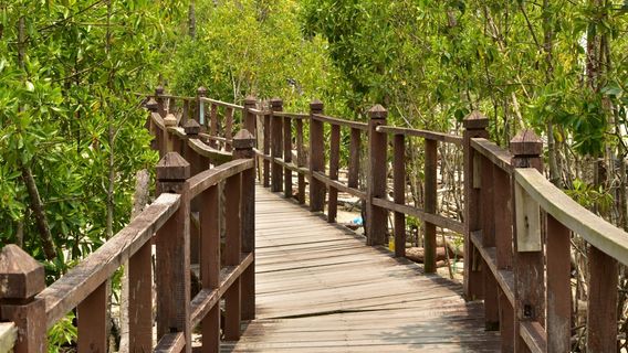Tanjung Piai National Park