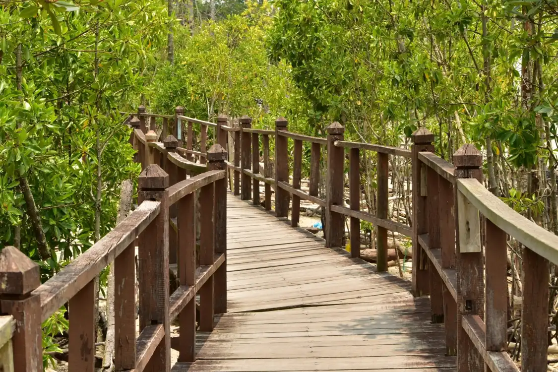 Hotels near Tanjung Piai National Park