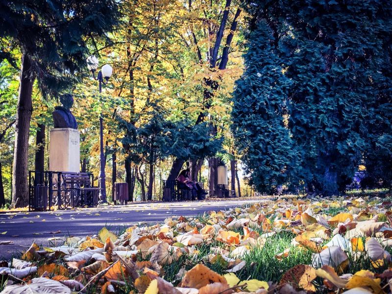 Авіаквитки Барсалунес Яси