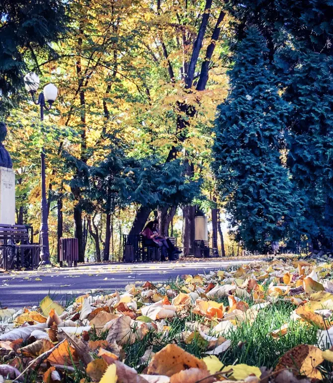 Iasi