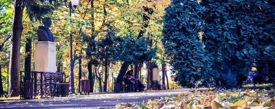 Iasi