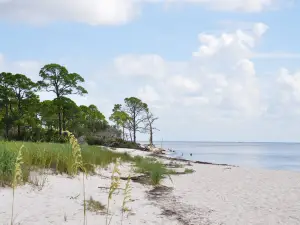 Bald Point State Park