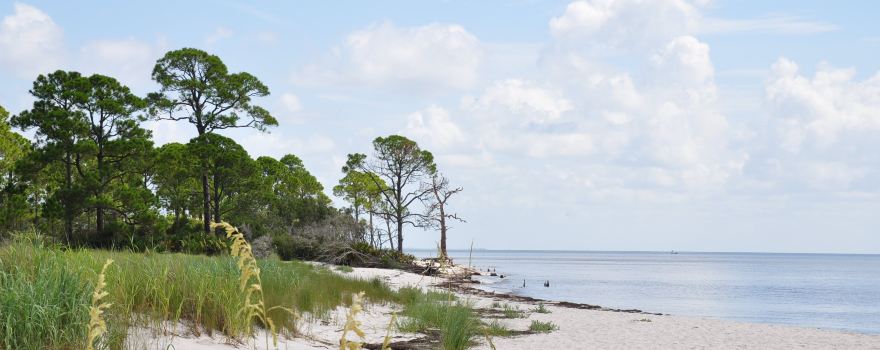 Bald Point State Park
