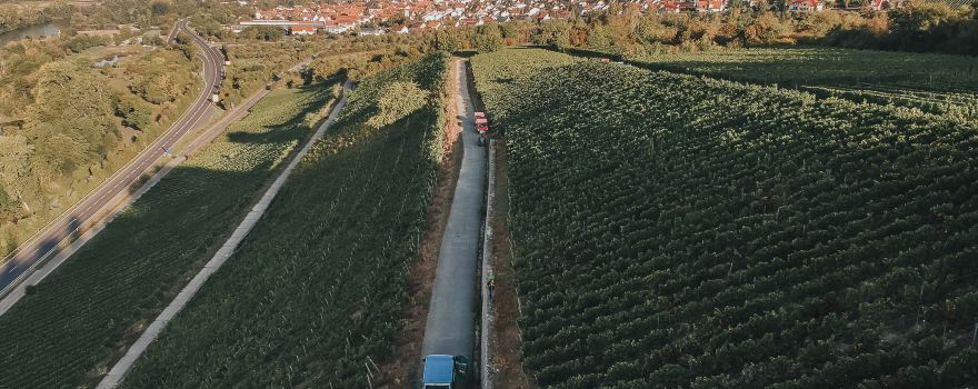 Weingut Max Markert