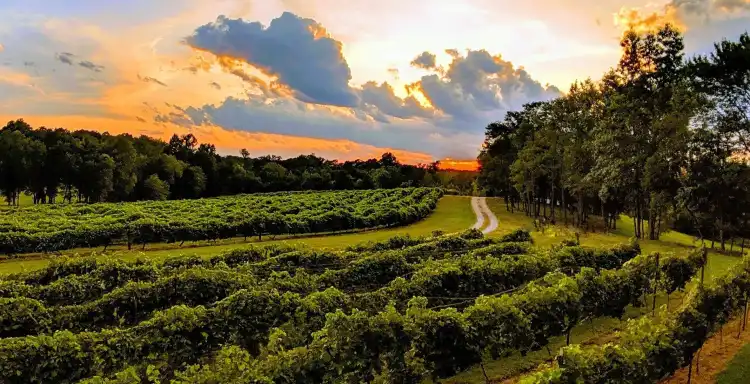 Hotels in Goochland County