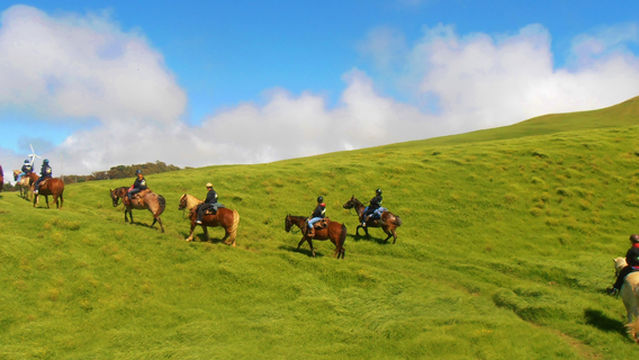 Na'alapa Stables - Kahua Ranch