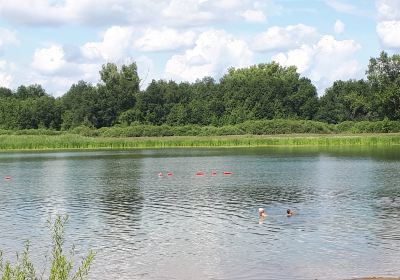 Birsky District