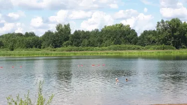 Birsky District