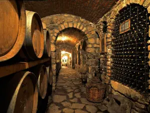 Cantine Antonio Caggiano