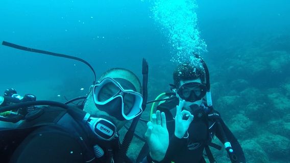 Force-E Scuba Centers - Riviera Beach (Blue Heron Bridge)