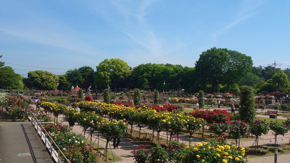 Kadokura Techno Rose Garden, Shikishima Park