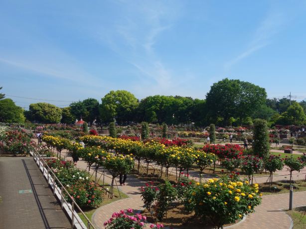 Kadokura Techno Rose Garden, Shikishima Park