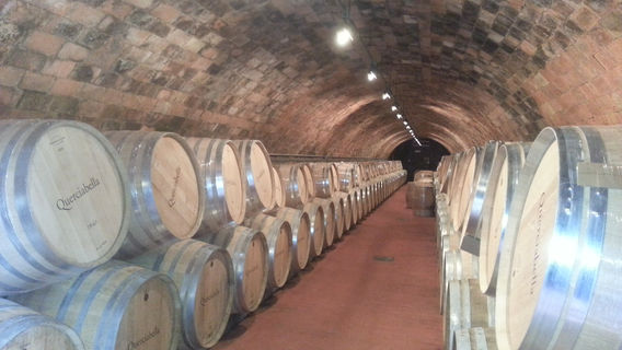 Greve in Chianti