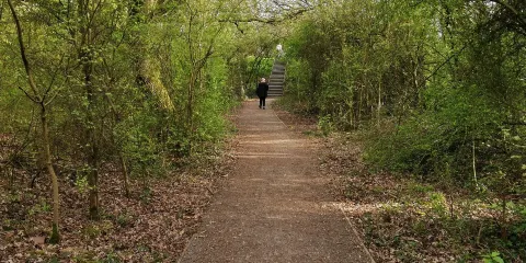 Noak Bridge Nature Reserve