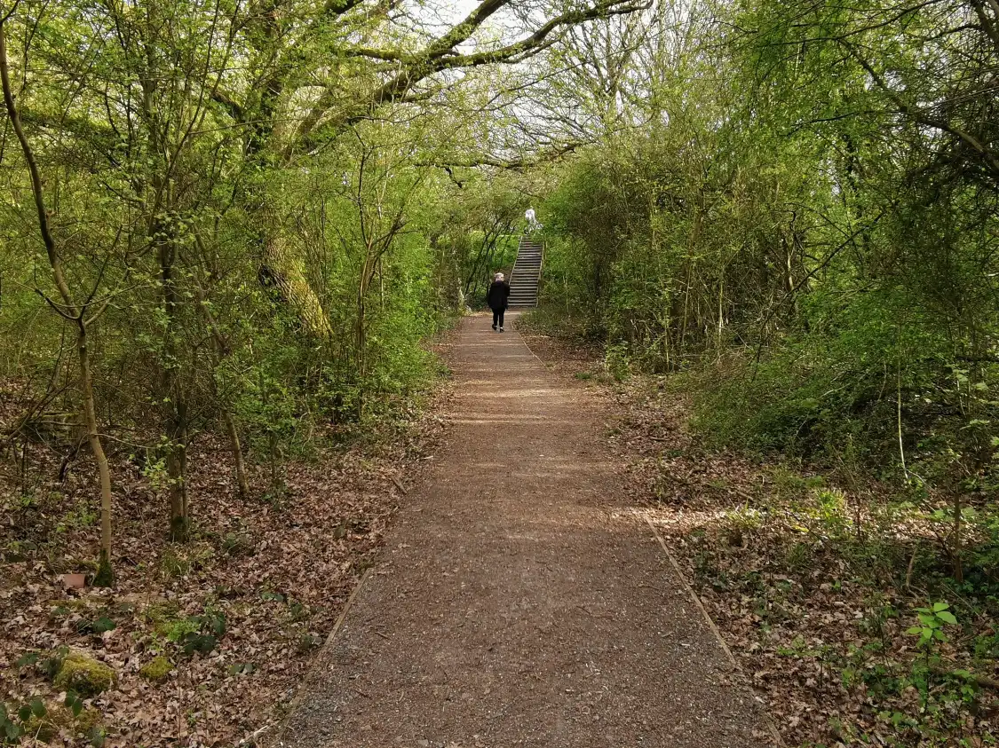 노크 브리지 자연보호지역 주변 호텔
