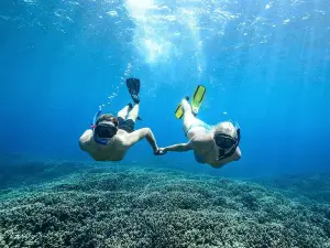 Sunreef Mooloolaba