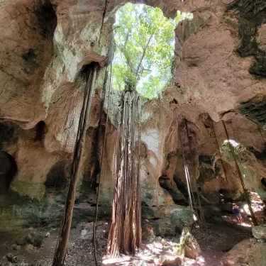 Cathedral Cave (Spider Cave)